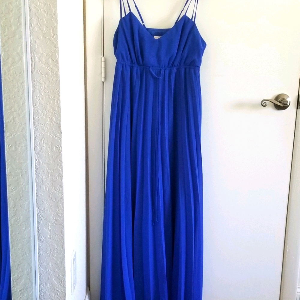 Bisou bisou pleated maxi dress